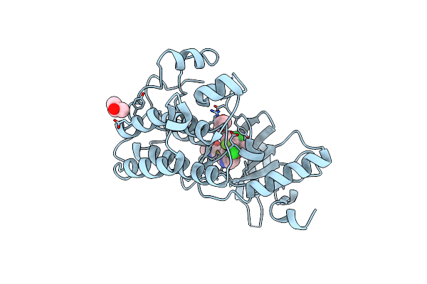 3A4P image