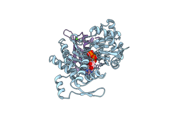 3A5N image