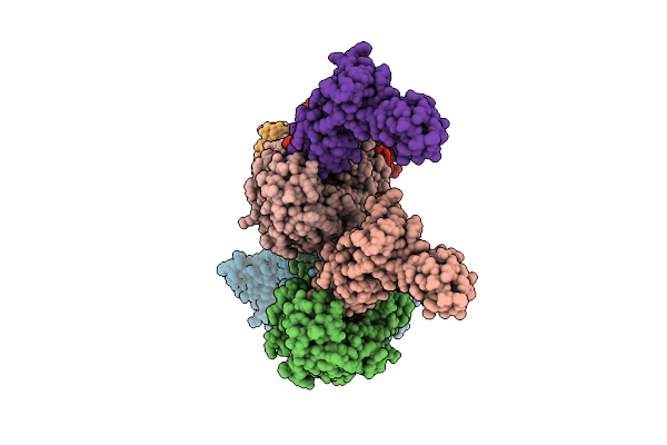 3A5Z image