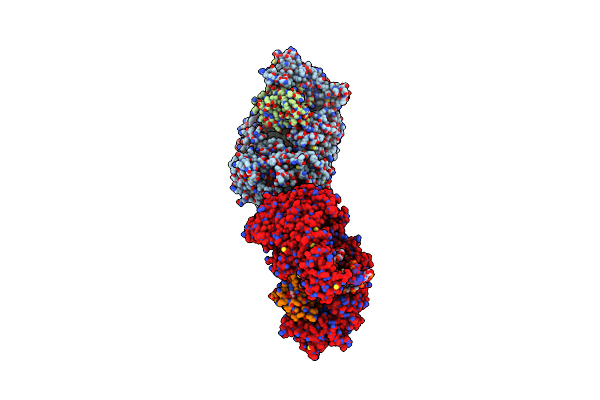3A6P image