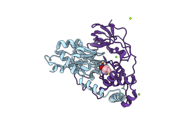 3A8G image
