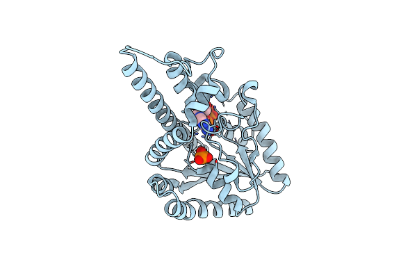 3A8T image