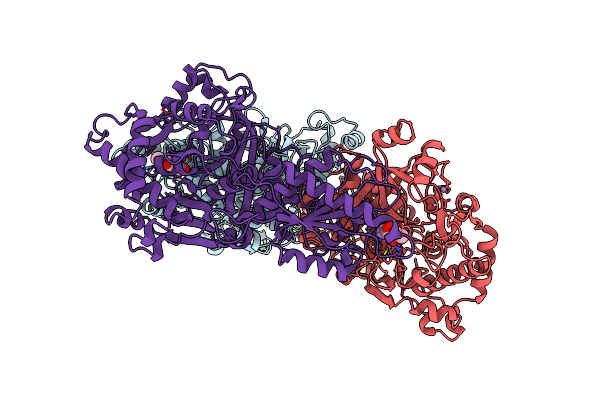 3A9T image