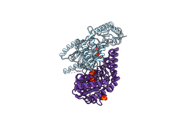 3A9X image