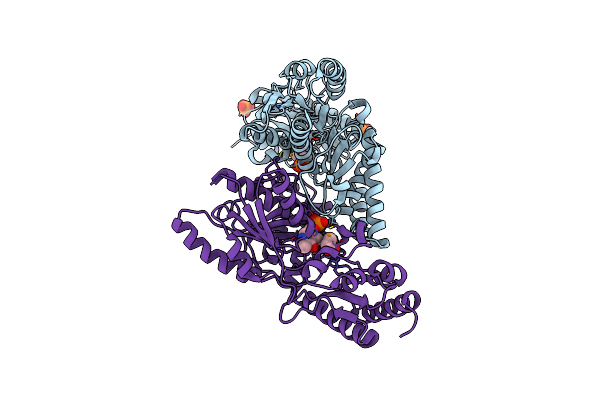 3A9Z image