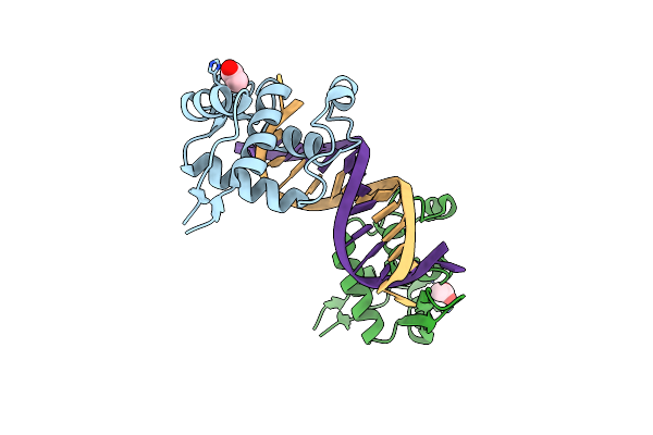 3AAF image