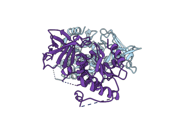 3AAG image
