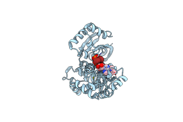 3AAQ image