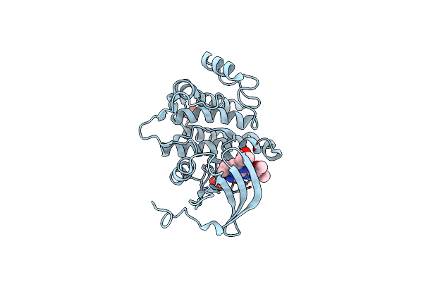 3AC3 image