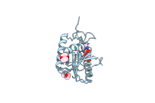 3ACD image