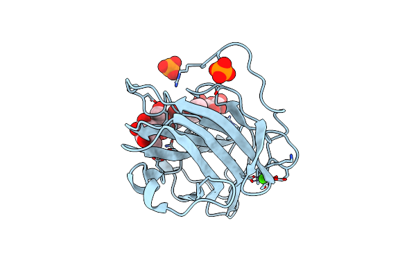 3ACI image