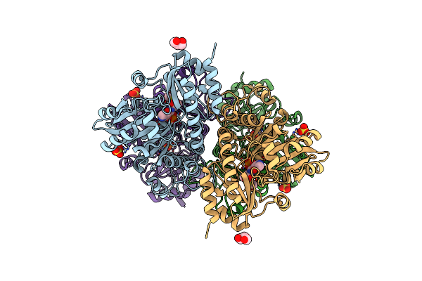 3AEP image