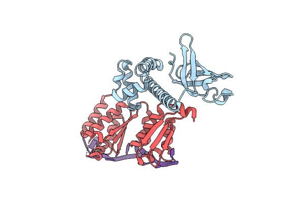 3AEV image