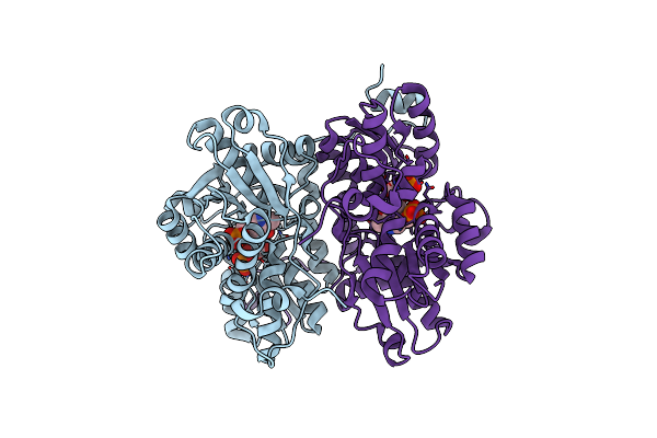 3AEX image