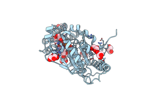 3AF3 image