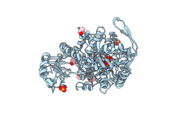 3AF5 image