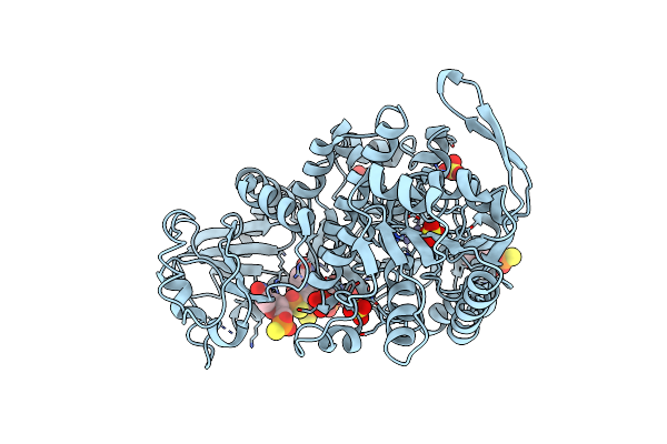 3AF6 image