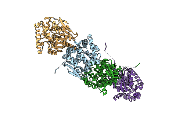 3AFI image