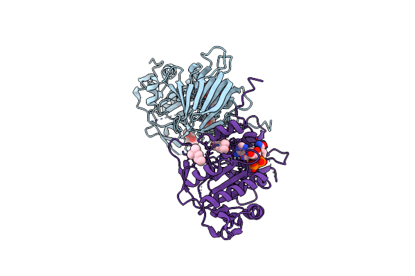 3AFO image