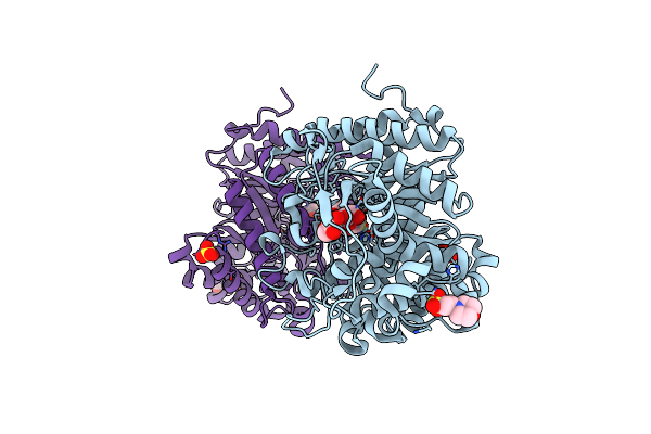 3AHV image