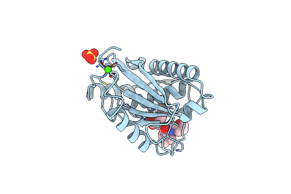 3AIG image