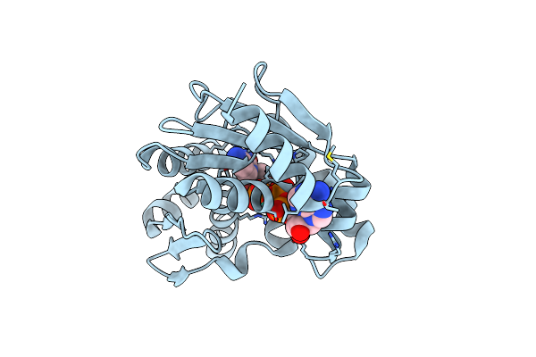 3AKC image