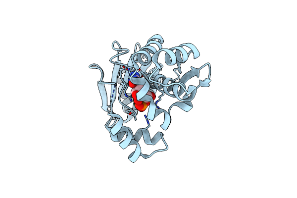 3AKD image