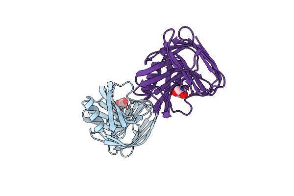 3AKT image