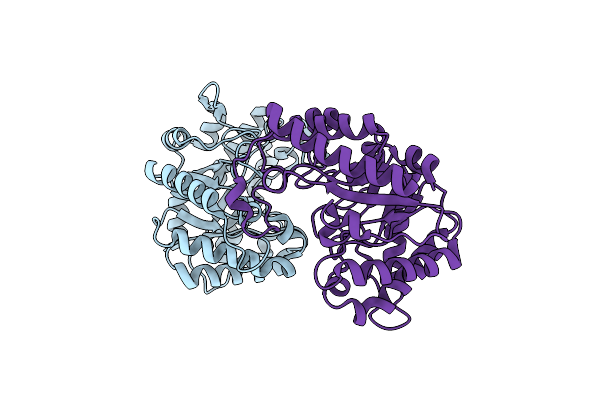 3AMC image