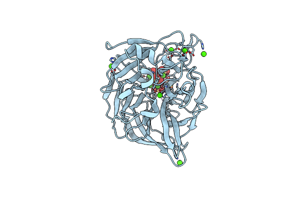 3AMR image