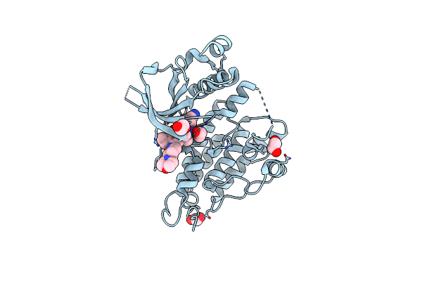 3AOX image