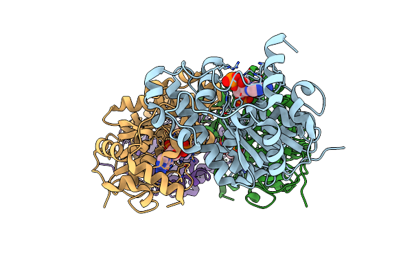 3AP3 image