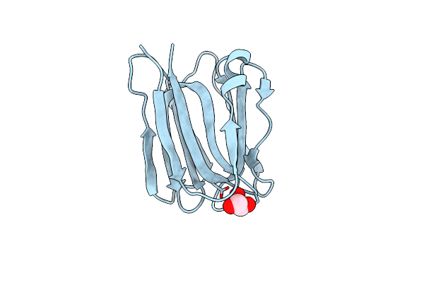 3APA image