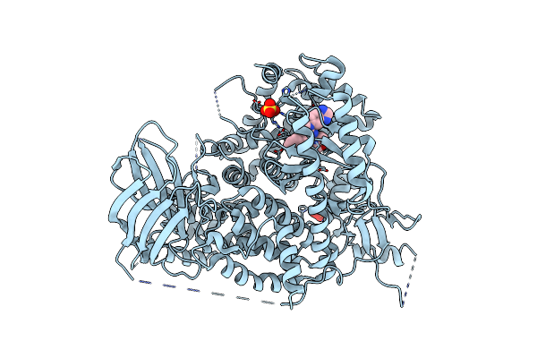 3APF image