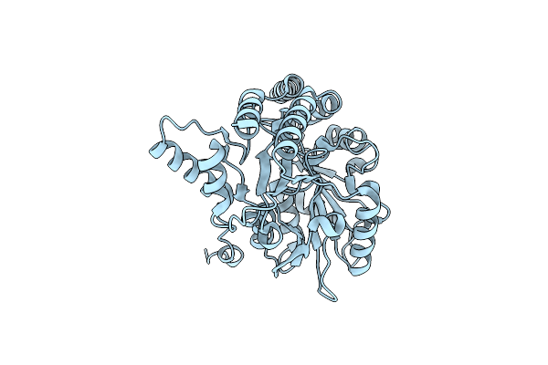 3ASA image