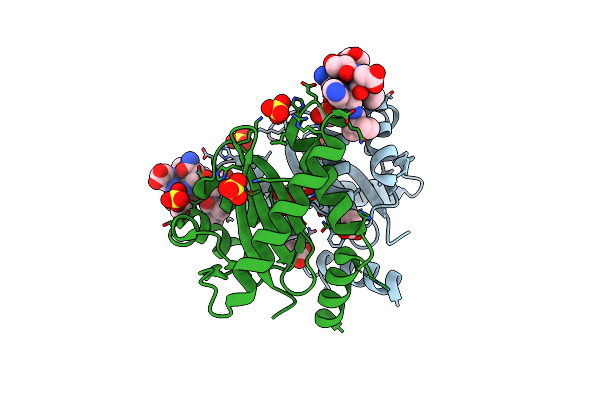 3AVC image