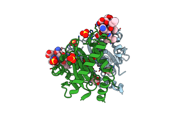 3AVF image