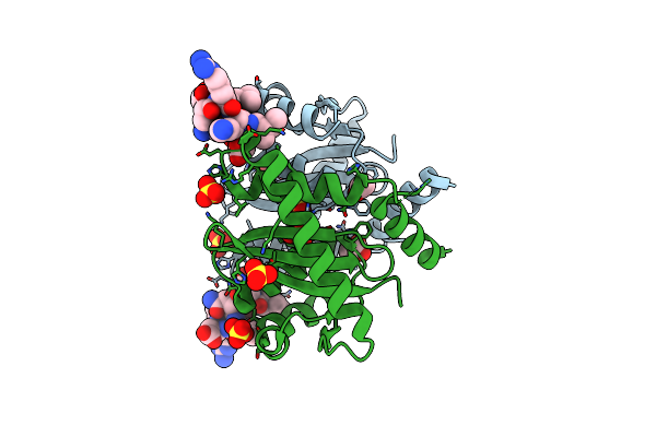 3AVH image
