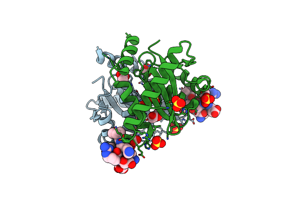 3AVM image
