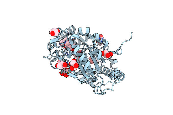3AVQ image