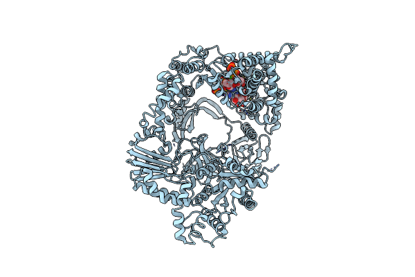 3AVT image