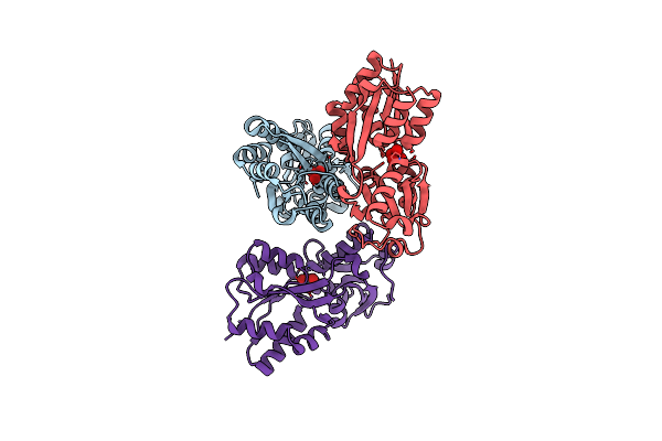 3AXF image