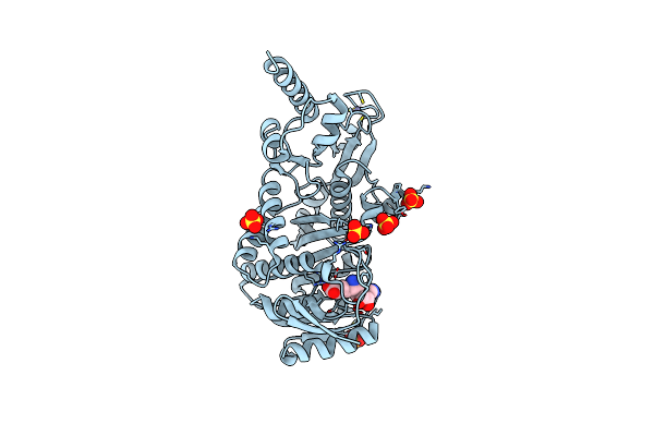 3AXS image