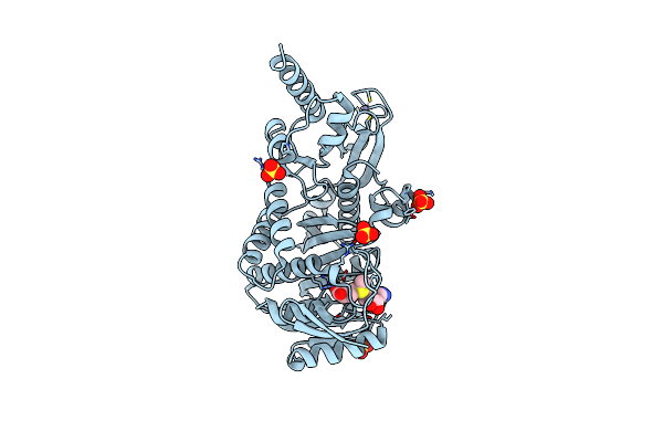 3AXT image