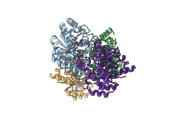 3AYV image
