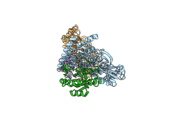 3B13 image