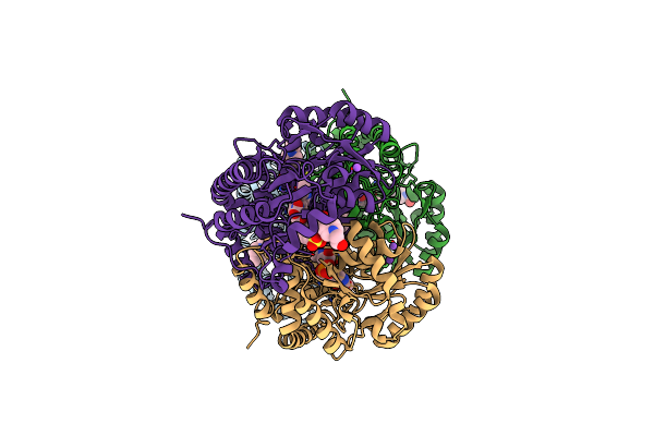 3B1D image