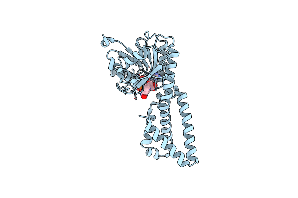 3B1F image