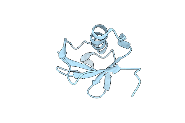 3B1L image