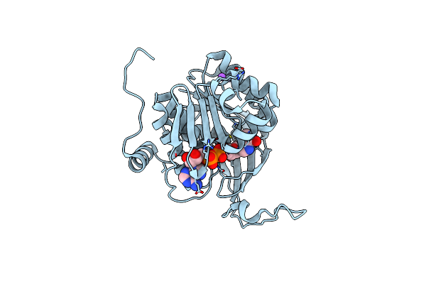 3B1P image